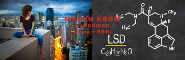 тгк Армянск