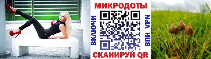 Галлюциногенные грибы Cubensis Белоозёрский