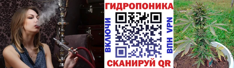 Бошки Шишки White Widow  где купить наркотик  Белоозёрский 